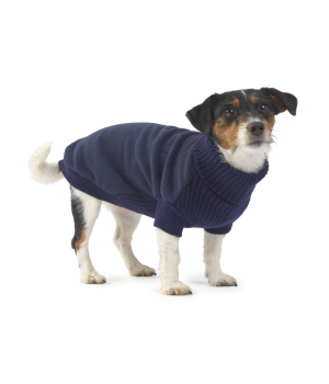 Navy jumper HoP House of Paws - 2