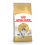Royal Canin - Norvegian Adult