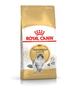 Royal Canin - Norvegian Adult Royal Canin - 1