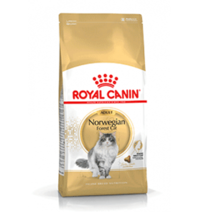 Royal Canin - Norvegian Adult Royal Canin - 1