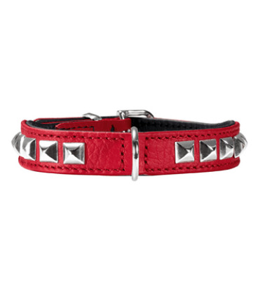 Collier pour chiens - Collier Rocky Hunter - 1