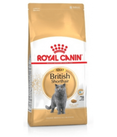 Royal Canin - British Shorthair Adult Royal Canin - 1