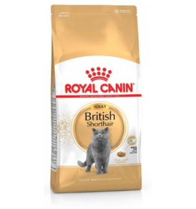 Royal Canin - British Shorthair Adult Royal Canin - 1