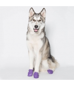 Accessoire de promenade pour chiens - Chausson de protection Pawz PawZ - 2 2