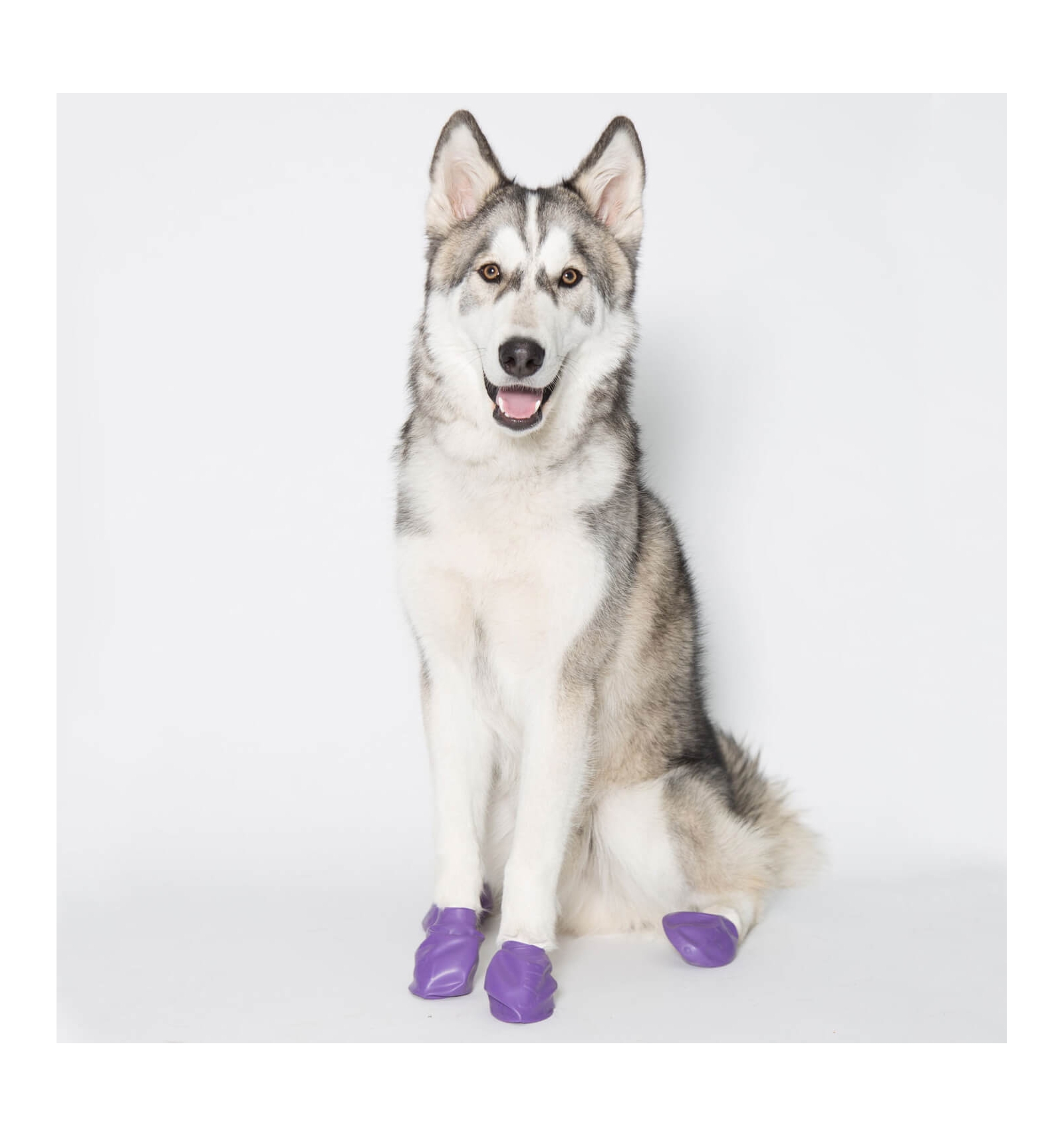 Two Tails - Chausson de protection Pawz