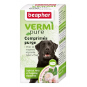 Vermi Pure chien de moyenne et grande taille