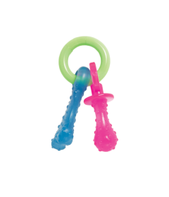 Tetines Nylabone Nylabone - 1