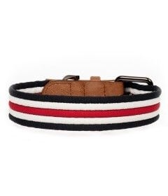 Collier pour chiens - Collier Héritage Tricolore Milk & Pepper - 1