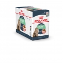 Royal Canin - Digestive Sensitive Care Sauce Royal Canin - 2