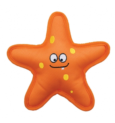 Belly Flops Starfish