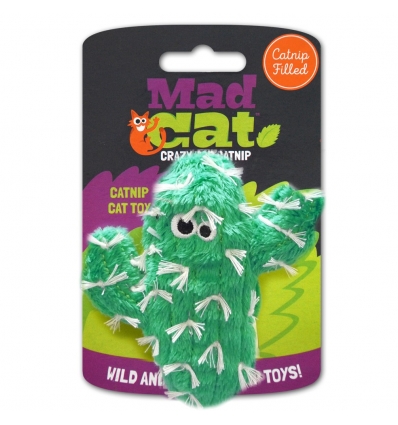 Cactus Malveillant MadCat - 1