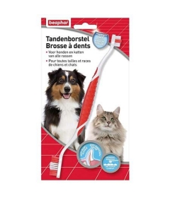 Soin pour chat & chien: Brosse à dent toute tailles
