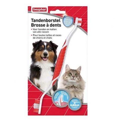 Soin pour chat & chien: Brosse à dent toute tailles