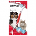 Soin pour chat & chien: Brosse à dent toute tailles