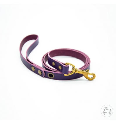 Laisse Cuir 180 Urban Cam - 8