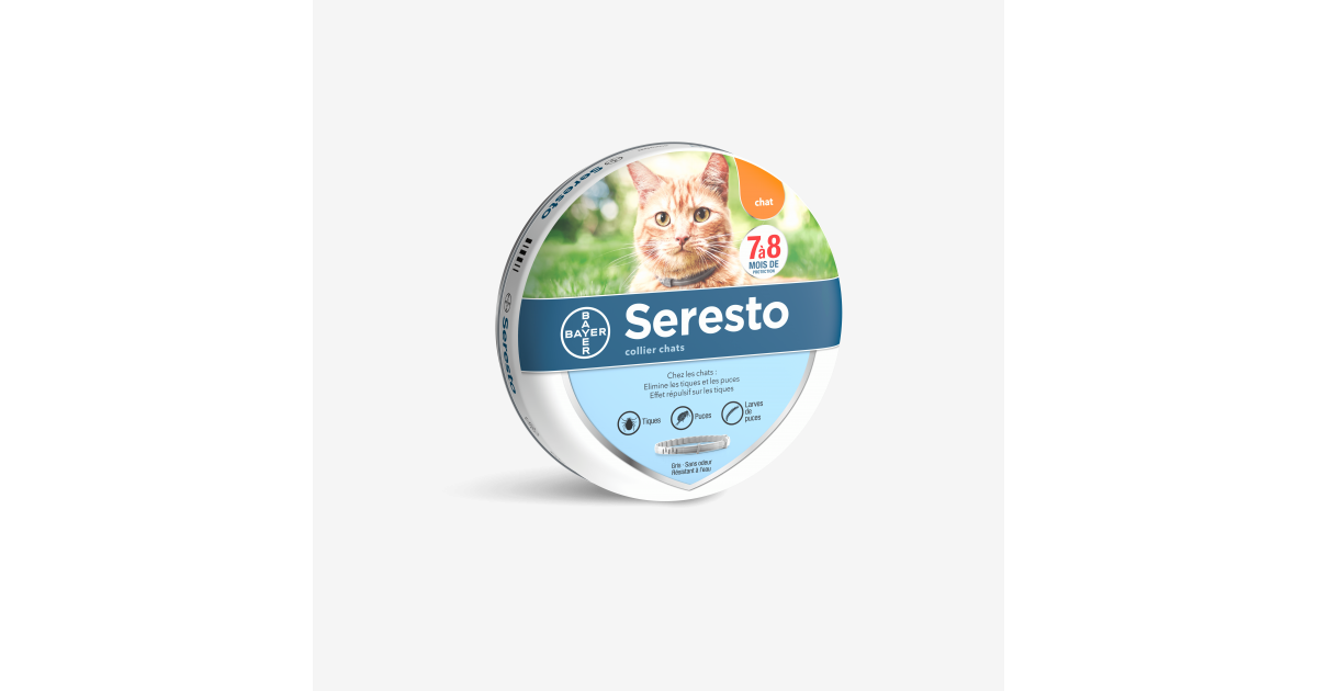 Collier Seresto Chats