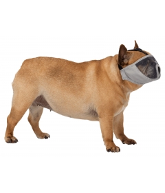 Accessoire de sécurité pour chiens - Muselière 2