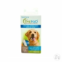 Dental care H2O recharge chien chat MPets - 1