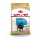 Royal Canin - Rottweiler Junior Royal Canin - 1