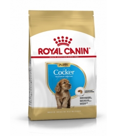 Royal Canin - Cocker Junior Royal Canin - 1
