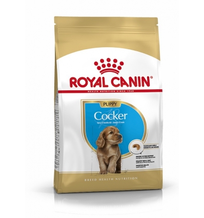 Cocker Junior Royal Canin - 1