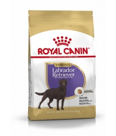Royal Canin - Labrador Retriever Sterilised Royal Canin - 1