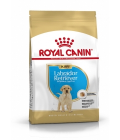 Royal Canin - Labrador Retriever Junior Royal Canin - 1