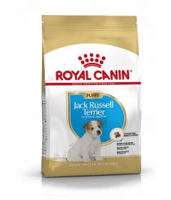 Royal Canin - Jack Russel Junior Royal Canin - 1