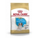 Royal Canin - Cavalier King Charles Junior Royal Canin - 1