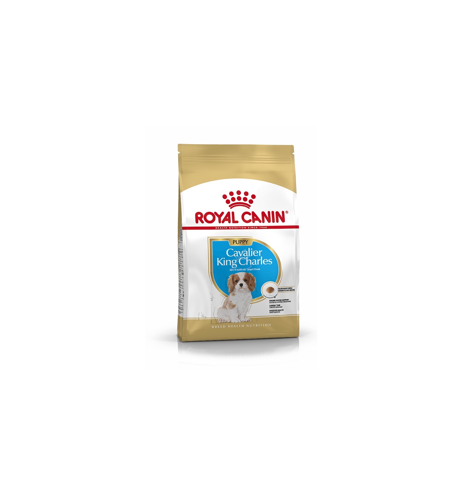 Two Tails Royal Canin Cavalier King Charles Junior