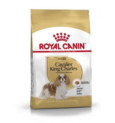 Royal Canin - Cavalier King Charles Adult Royal Canin - 1