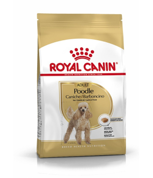Royal Canin - Caniche Adult Royal Canin - 1