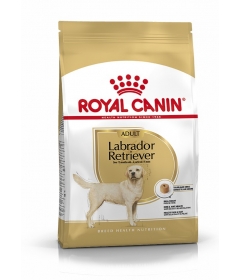 Royal Canin - Labrador Retriever Adult Royal Canin - 1