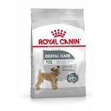 Royal Canin - Mini Dental Care Royal Canin - 1