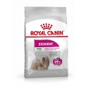 Royal Canin - Mini Adult Exigent Royal Canin - 1