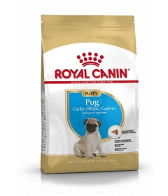 Royal Canin - Pug Junior Royal Canin - 1