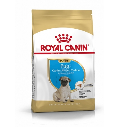 Royal Canin - Pug Junior Royal Canin - 1