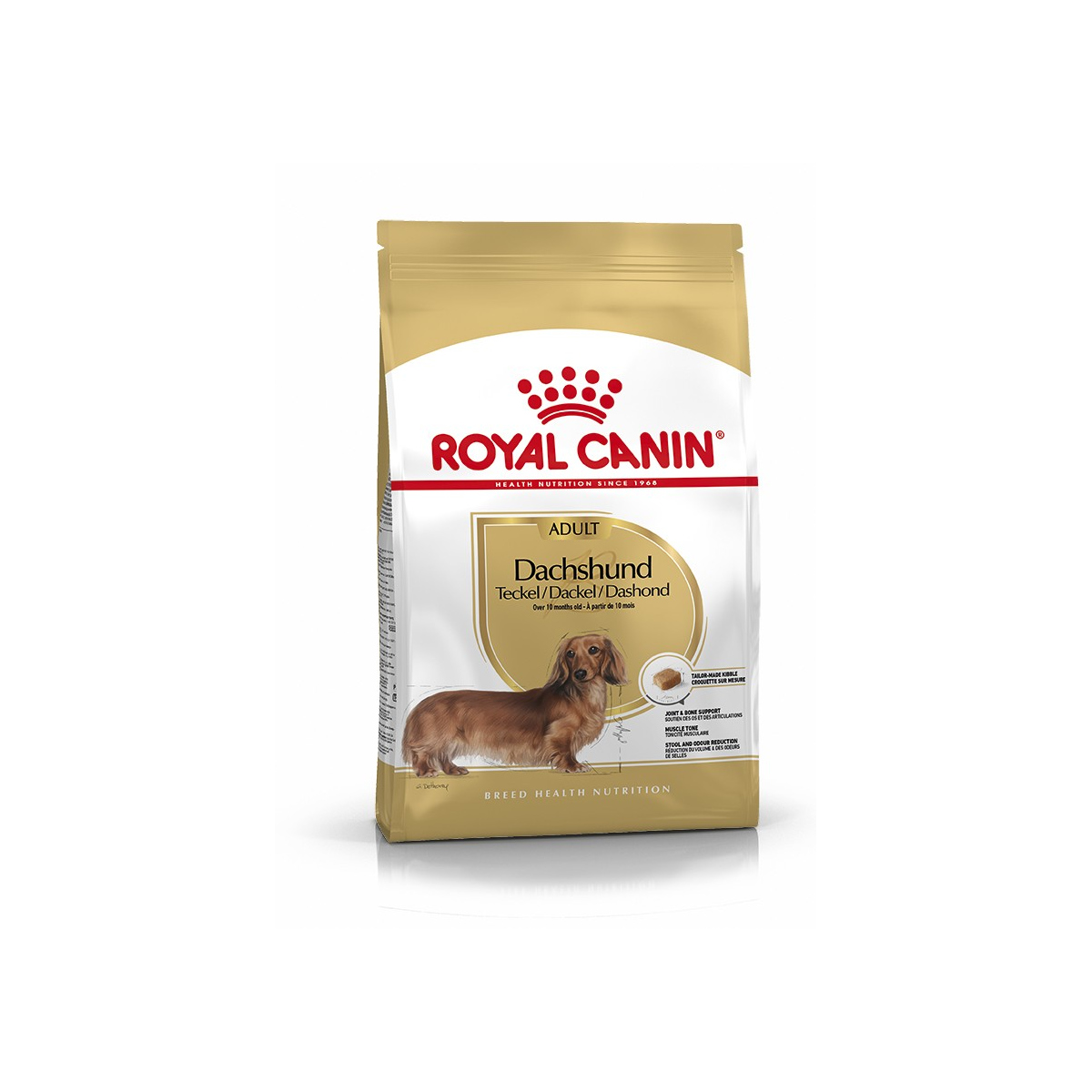 Royal Canin - Teckel Dachsund Adult Royal Canin - 1