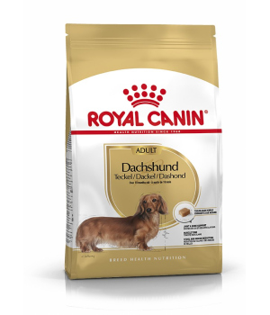 Royal Canin - Teckel Dachsund Adult Royal Canin - 1