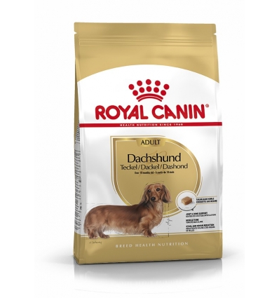 Royal Canin - Teckel Dachsund Adult Royal Canin - 1