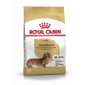Royal Canin - Teckel Dachsund Adult Royal Canin - 1