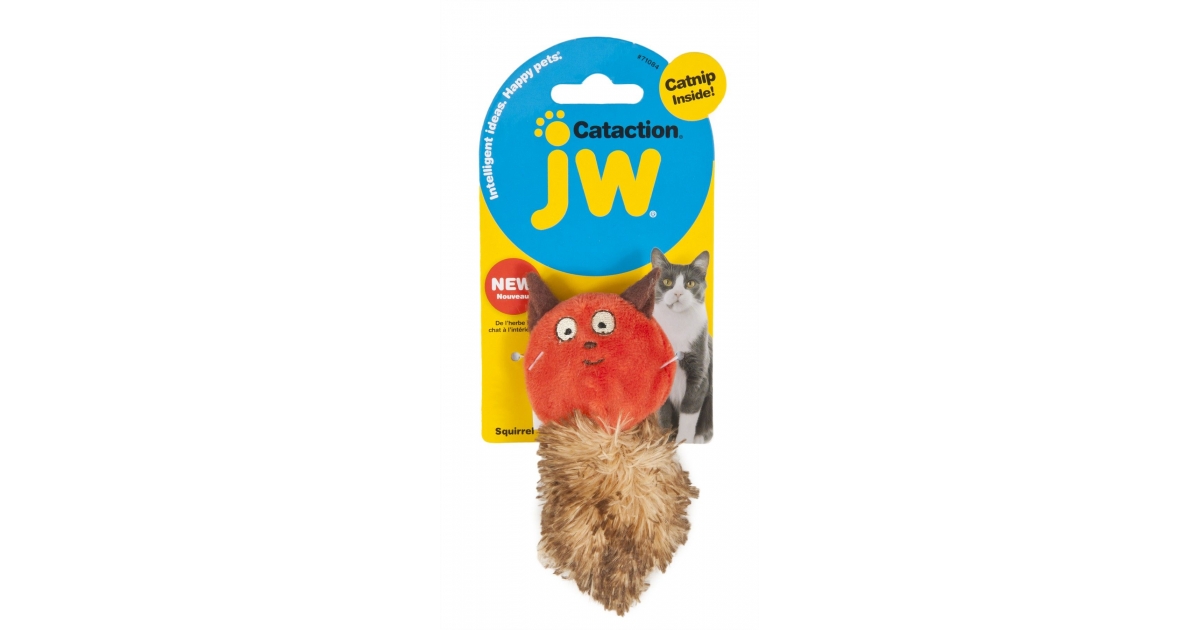 Cataction Squirrel