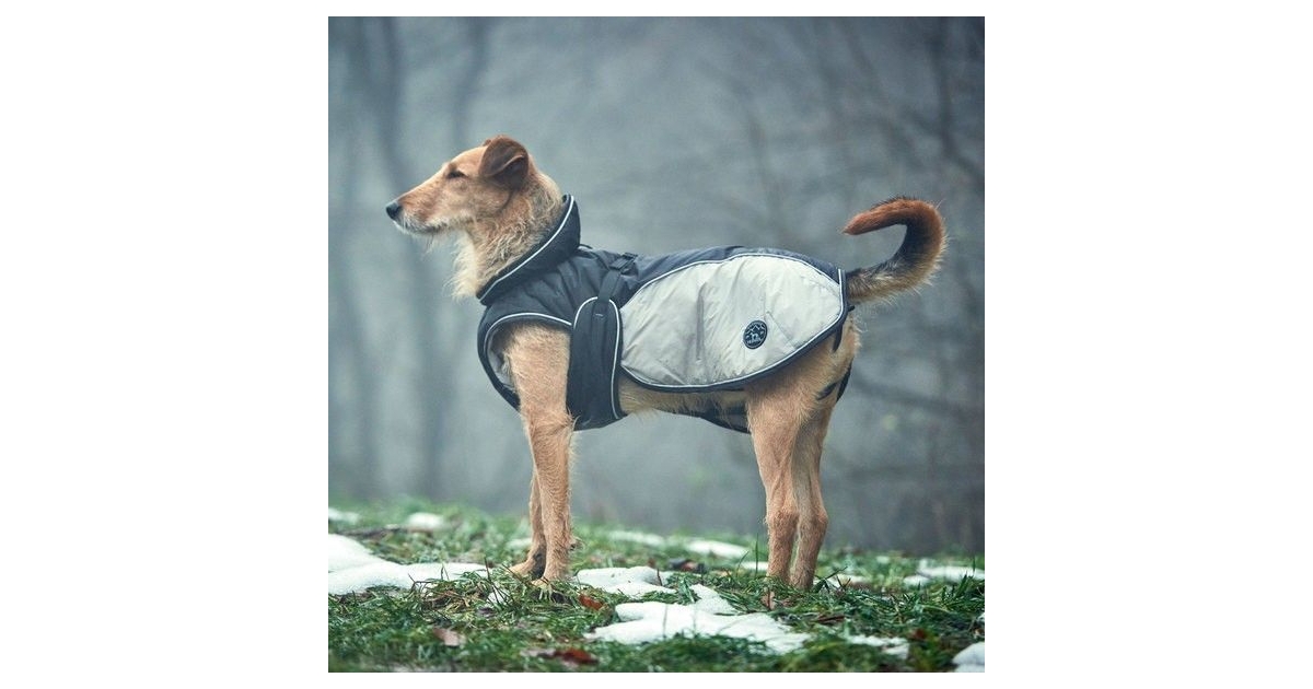 Imperméable pour chiens - Manteau Uppsala Extreme Hunter - 2