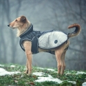 Imperméable pour chiens - Manteau Uppsala Extreme Hunter - 2