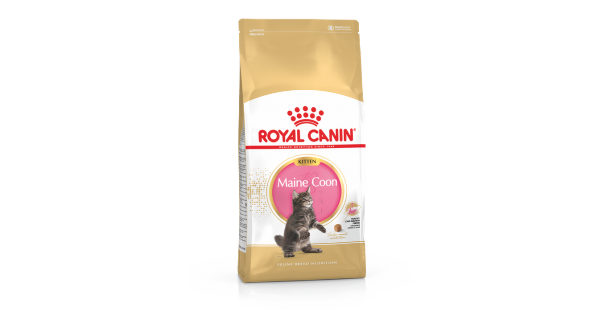 Royal Canin - Maine Coon Kitten Royal Canin - 1