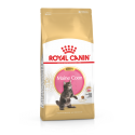 Royal Canin - Maine Coon Kitten Royal Canin - 1