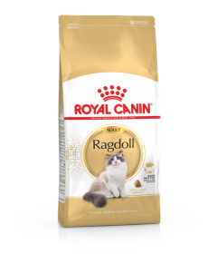 Royal Canin - Ragdoll Adult Royal Canin - 1