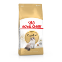 Royal Canin - Ragdoll Adult Royal Canin - 1