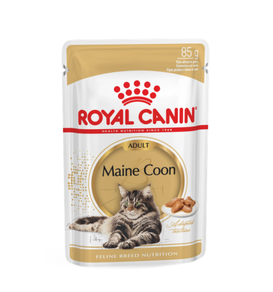 Maine Coon Adult Sauce