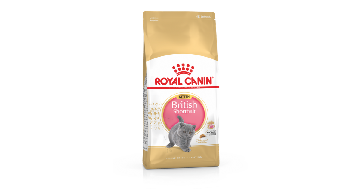 Royal Canin - British Shorthair Kitten Royal Canin - 1